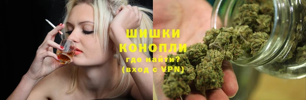 ПСИЛОЦИБИНОВЫЕ ГРИБЫ Протвино