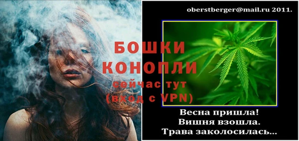 спайс Арсеньев