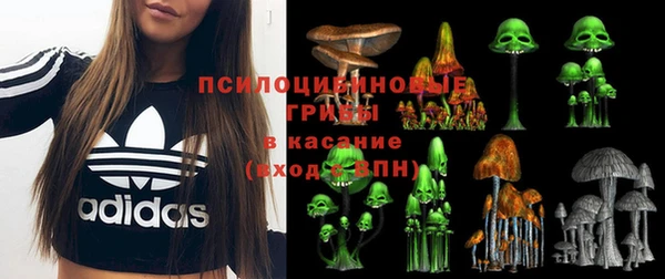 спайс Арсеньев